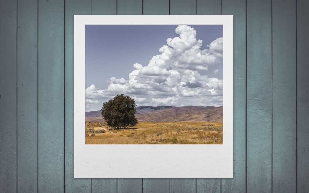 Savoir optimiser les images pour améliorer la vitesse de chargement de ton site web