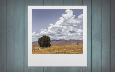 Savoir optimiser les images pour améliorer la vitesse de chargement de ton site web