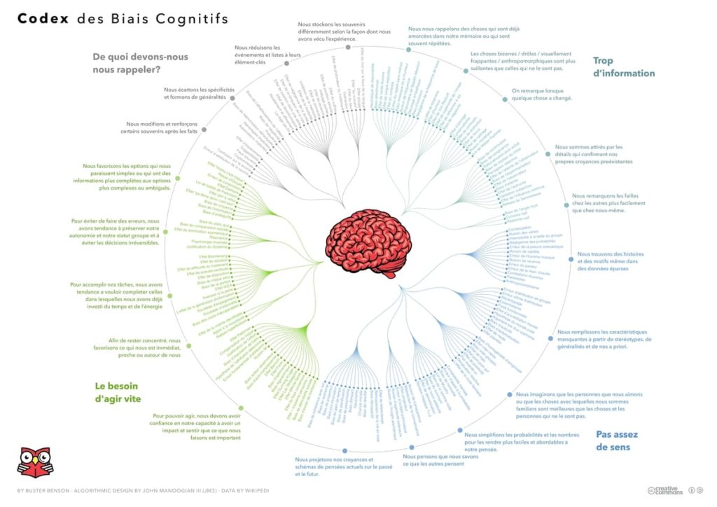 Schéma biais cognitifs