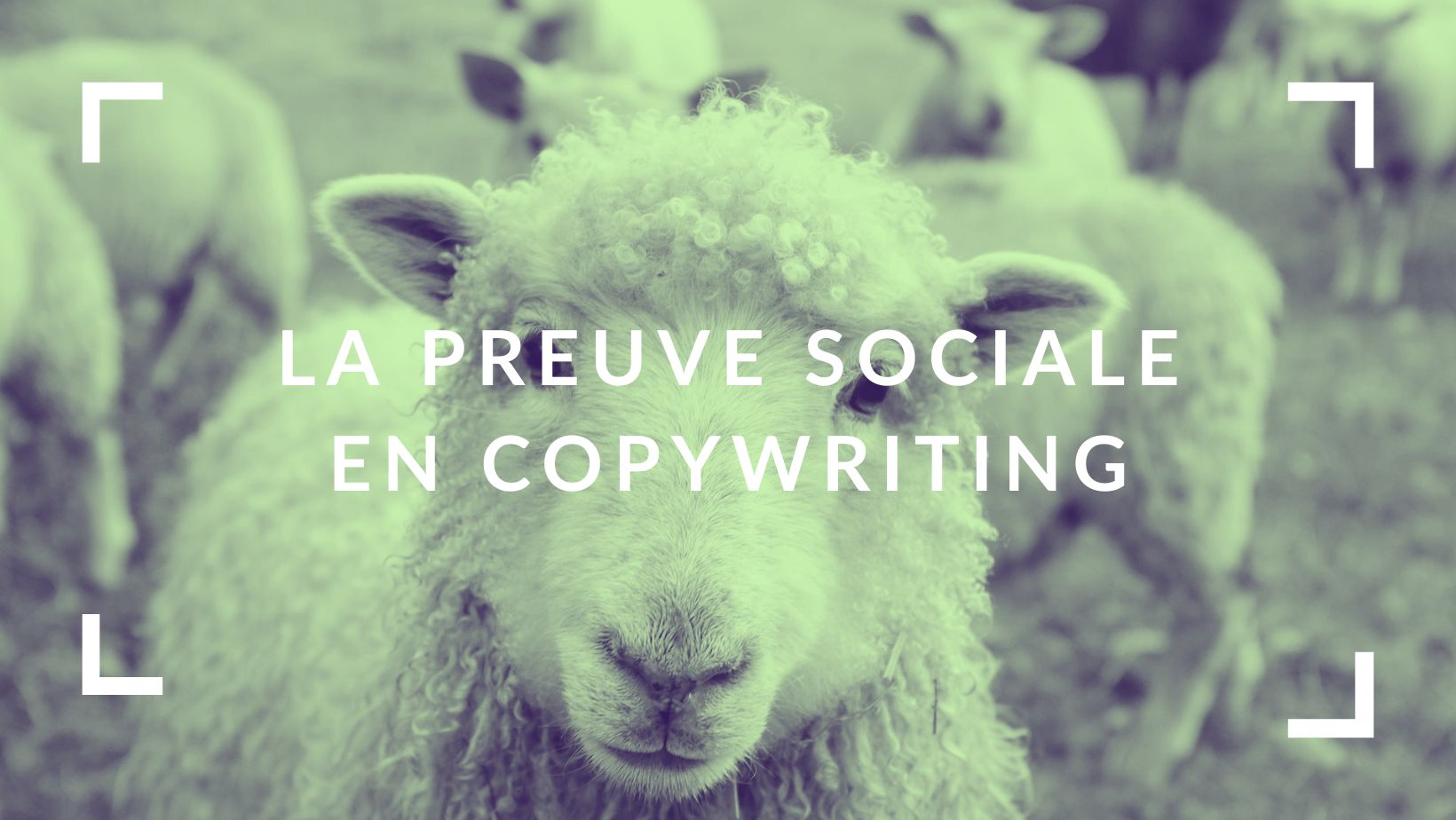 Le copywriting et la preuve sociale | Par Alexandre Montenon